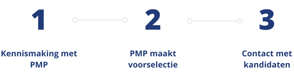 3 stappen pmp
