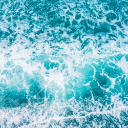 Illustratie bij het artikel